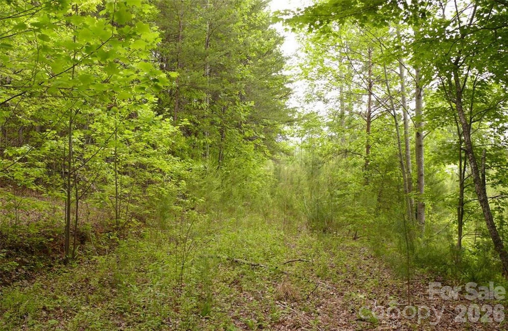 0 Vineyards Way Lake Lure NC 28746