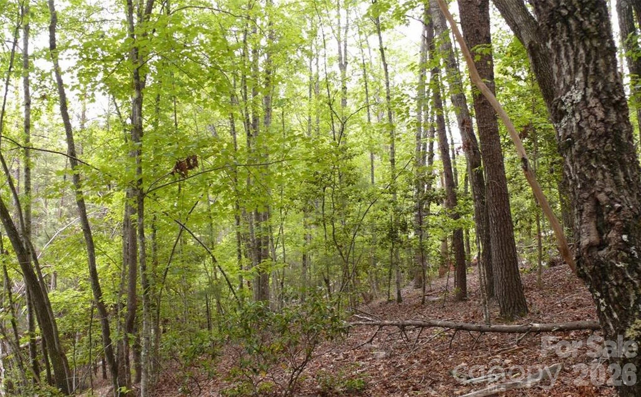 0 Vineyards Way Lake Lure NC 28746