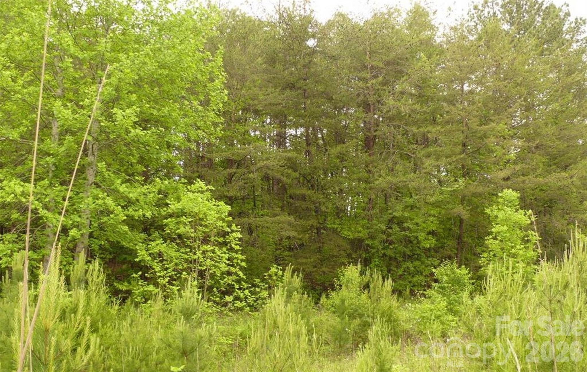 0 Vineyards Way Lake Lure NC 28746