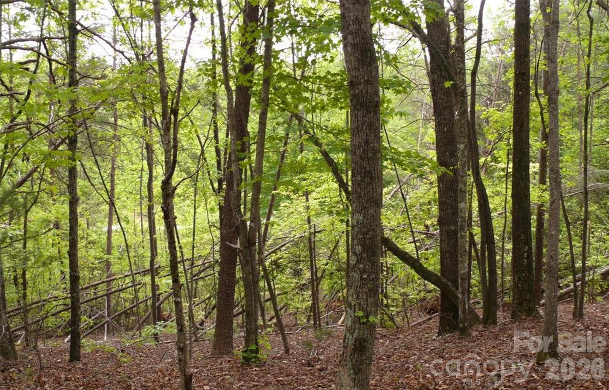 0 Vineyards Way Lake Lure NC 28746