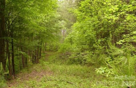 0 Vineyards Way Lake Lure NC 28746