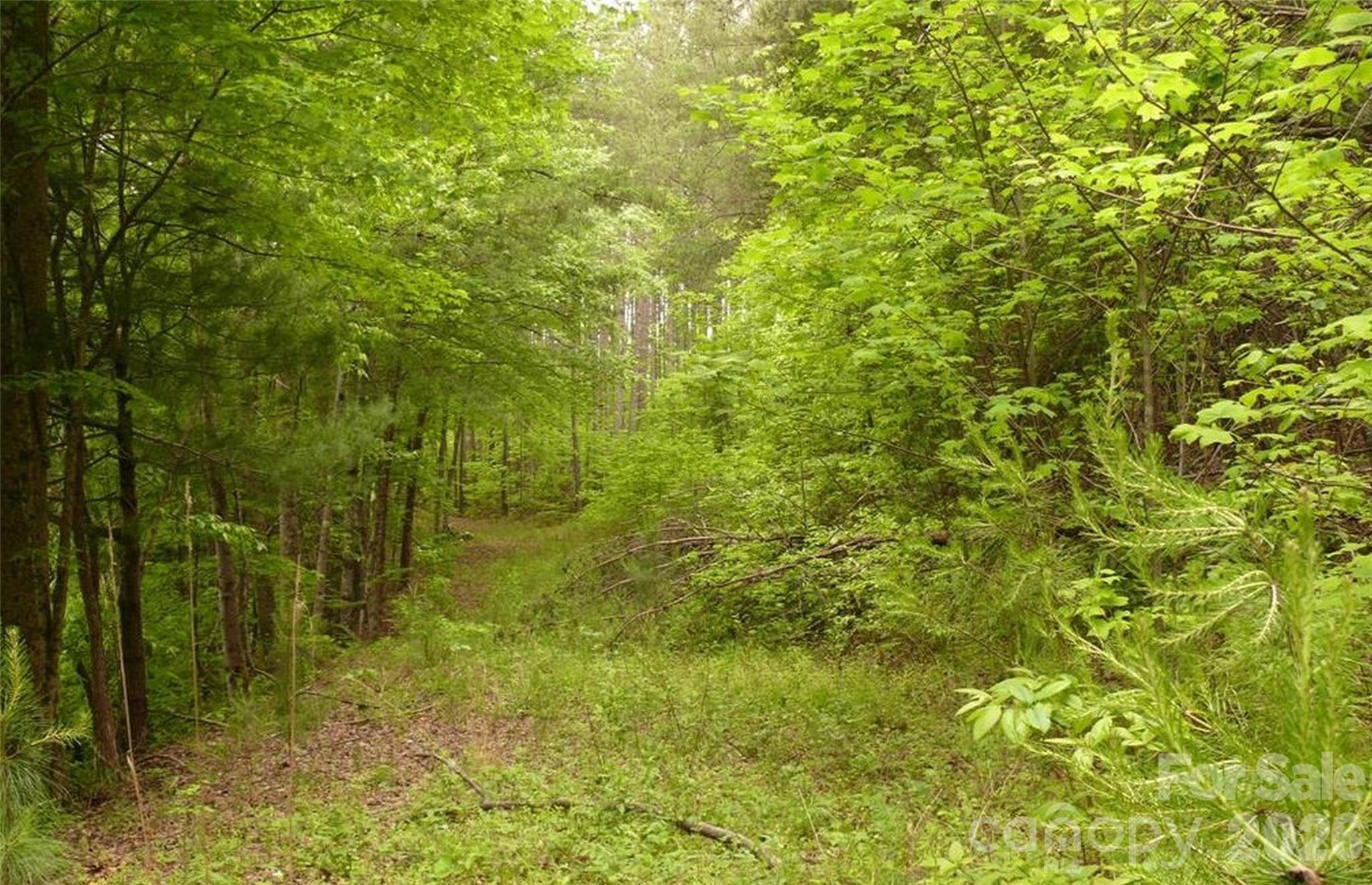 0 Vineyards Way Lake Lure NC 28746