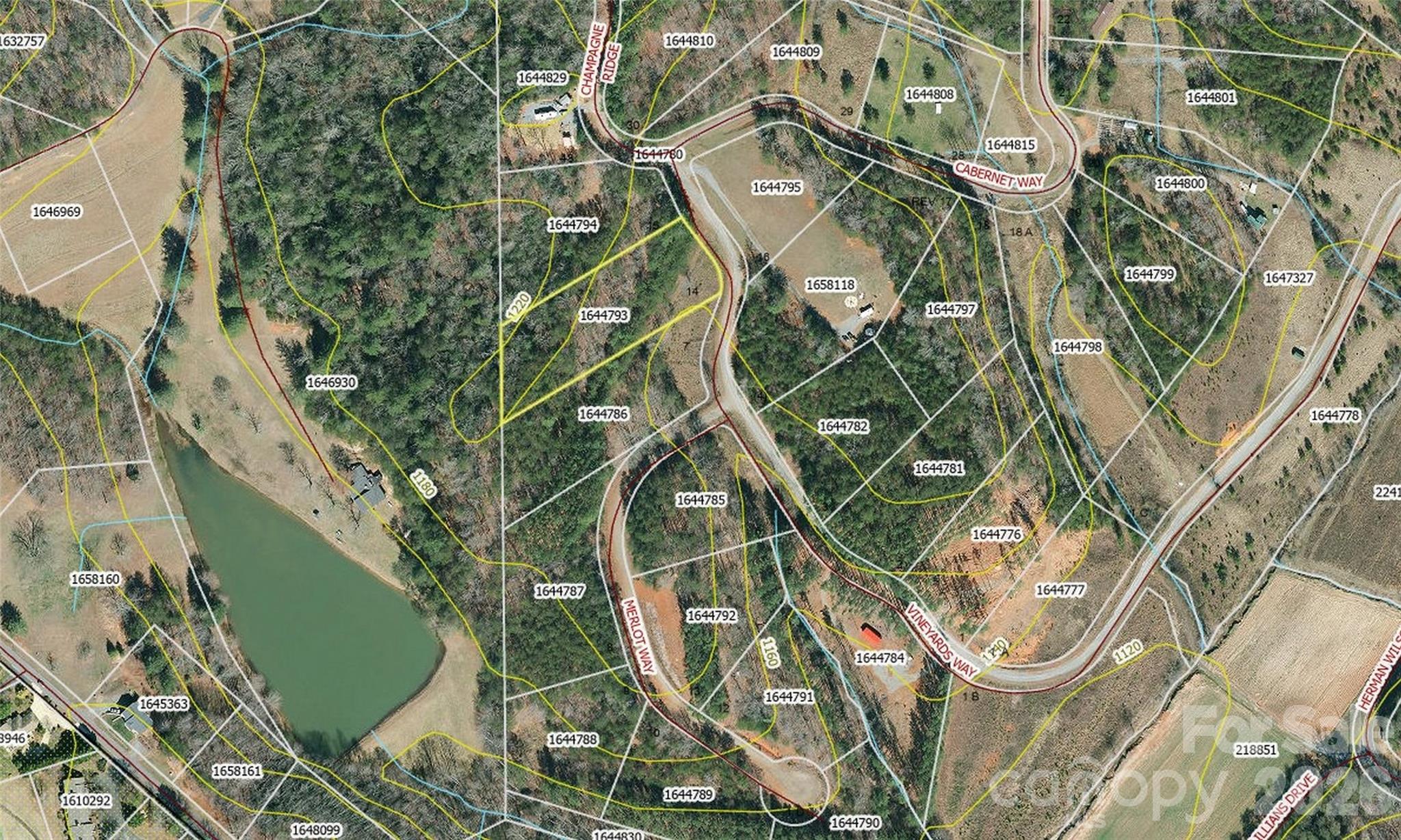 0 Vineyards Way Lake Lure NC 28746