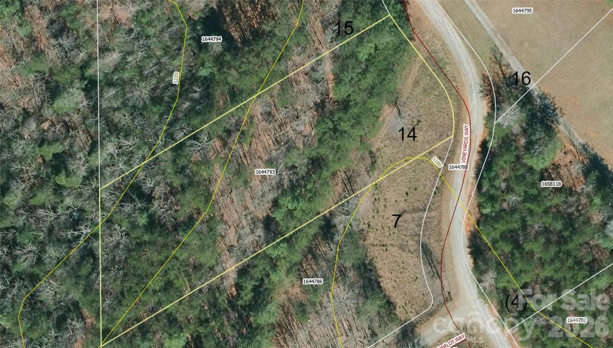 0 Vineyards Way Lake Lure NC 28746