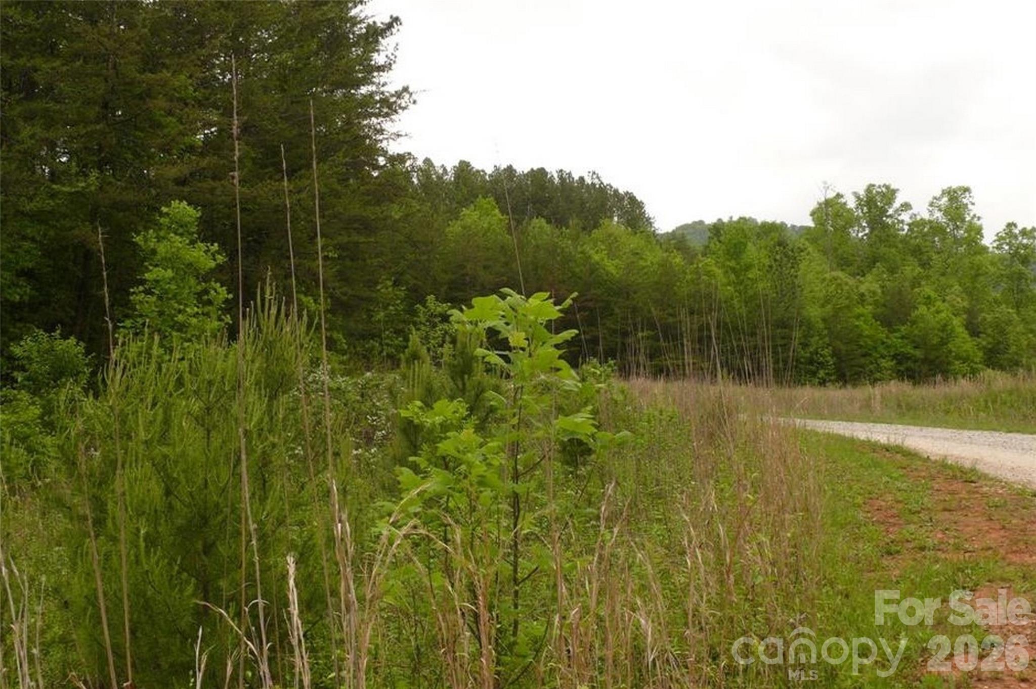 0 Vineyards Way Lake Lure NC 28746