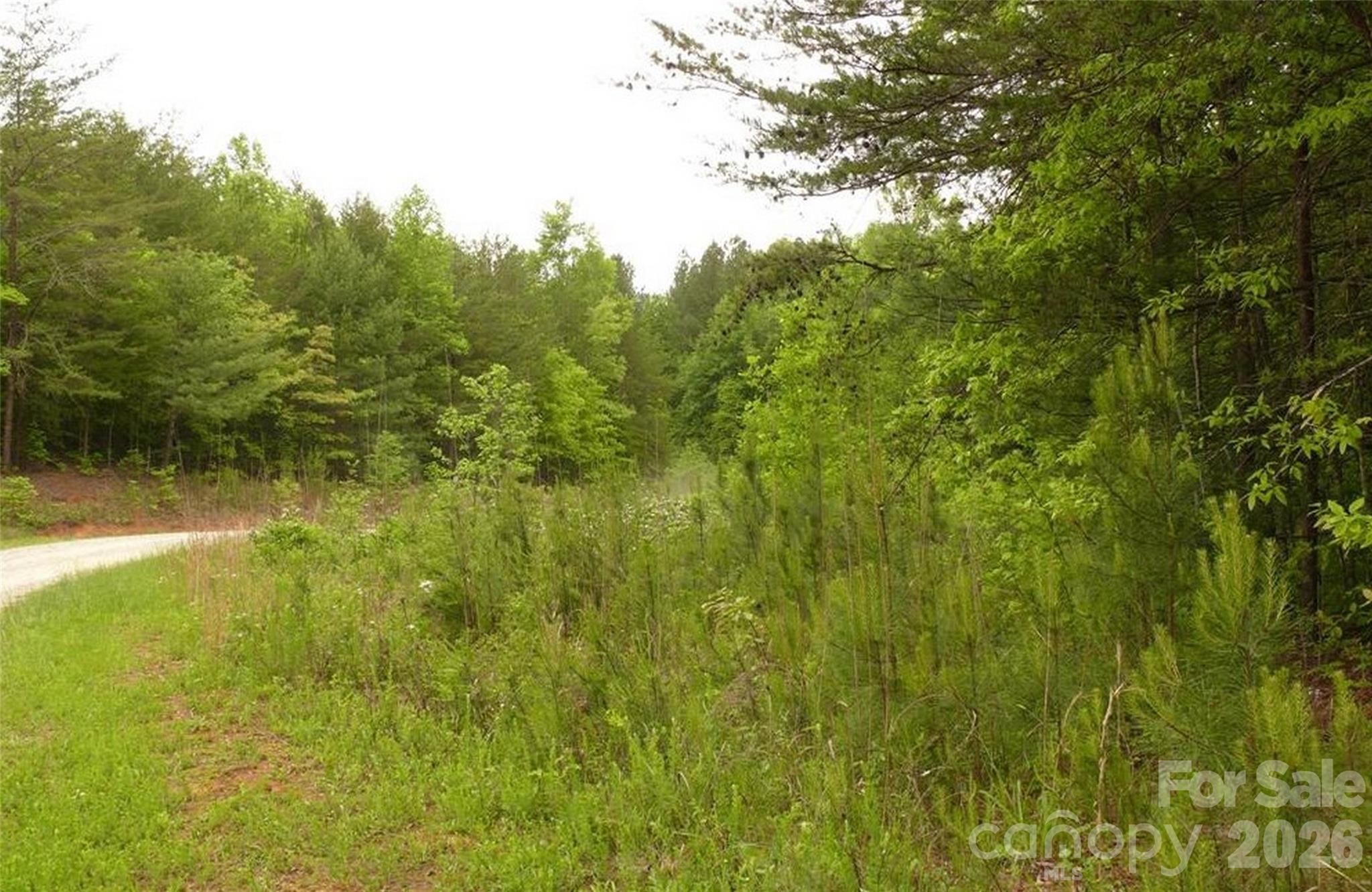 0 Vineyards Way Lake Lure NC 28746
