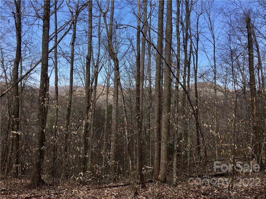 99 &57 Fern Hill Drive Mars Hill NC 28754