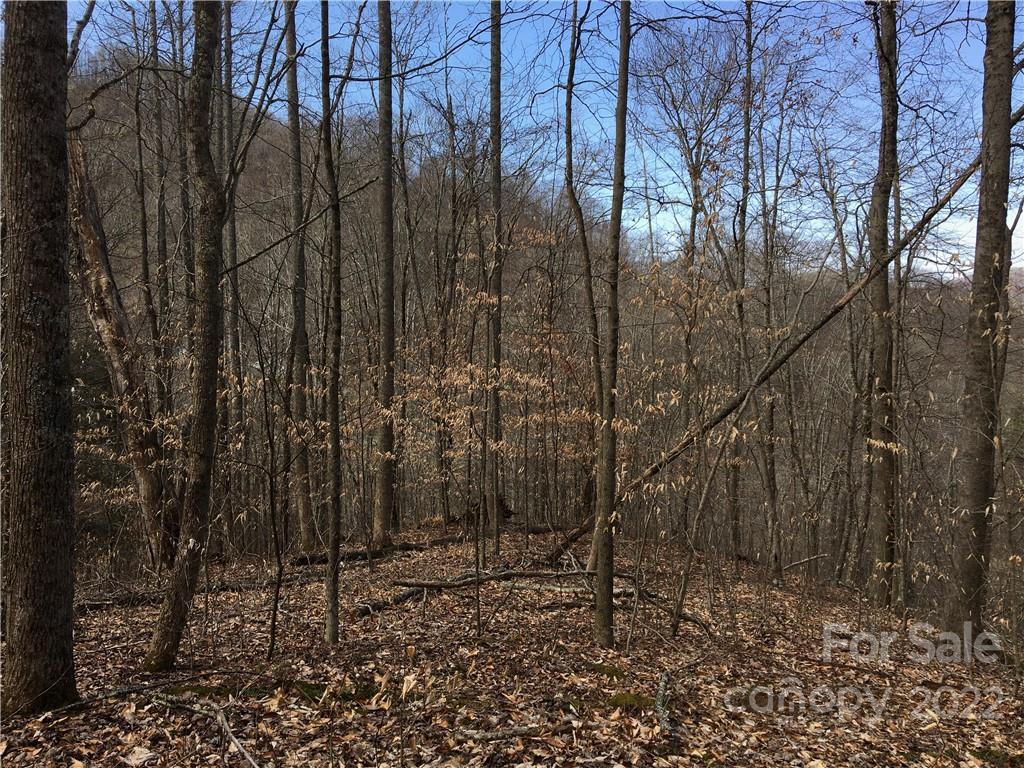 99 &57 Fern Hill Drive Mars Hill NC 28754