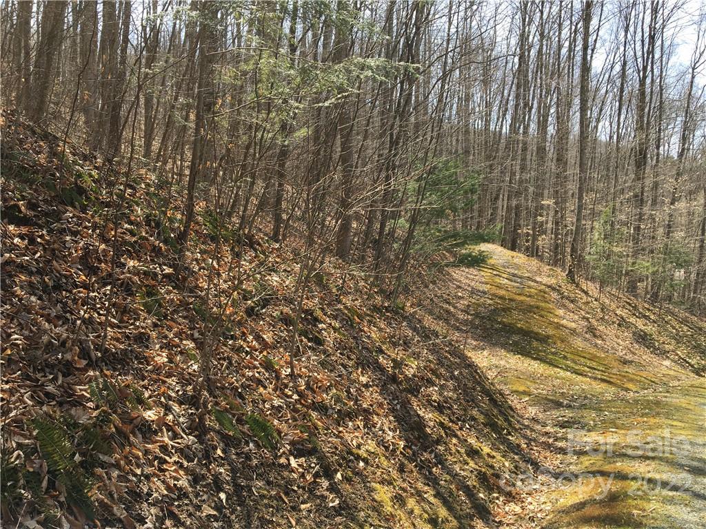 99 &57 Fern Hill Drive Mars Hill NC 28754
