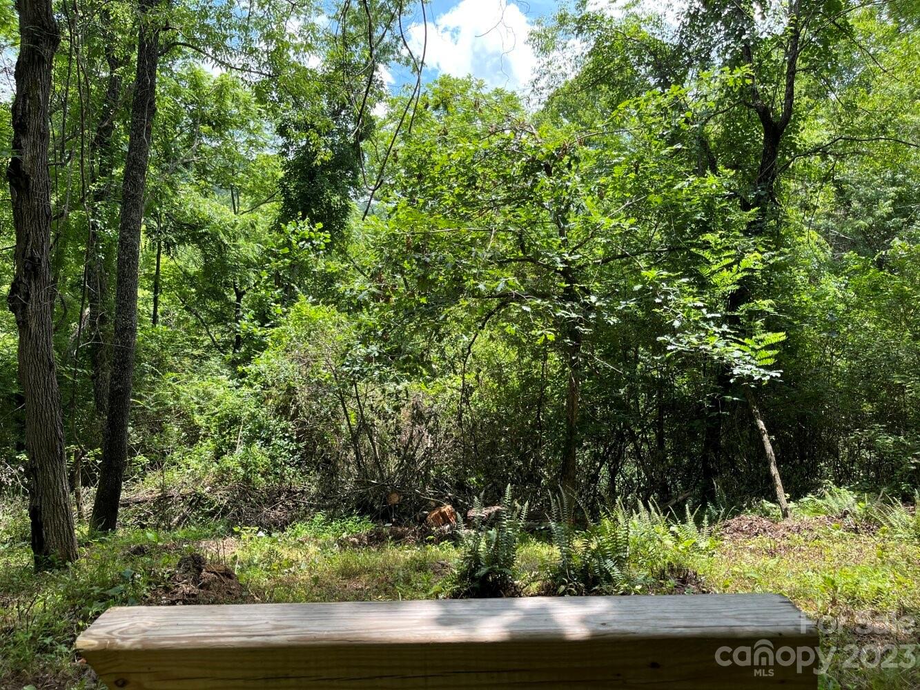 9999 Davis Cove Road Leicester NC 28748