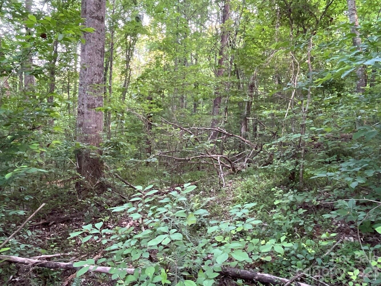 9999 Davis Cove Road Leicester NC 28748
