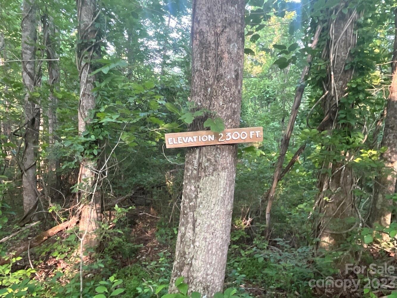 9999 Davis Cove Road Leicester NC 28748