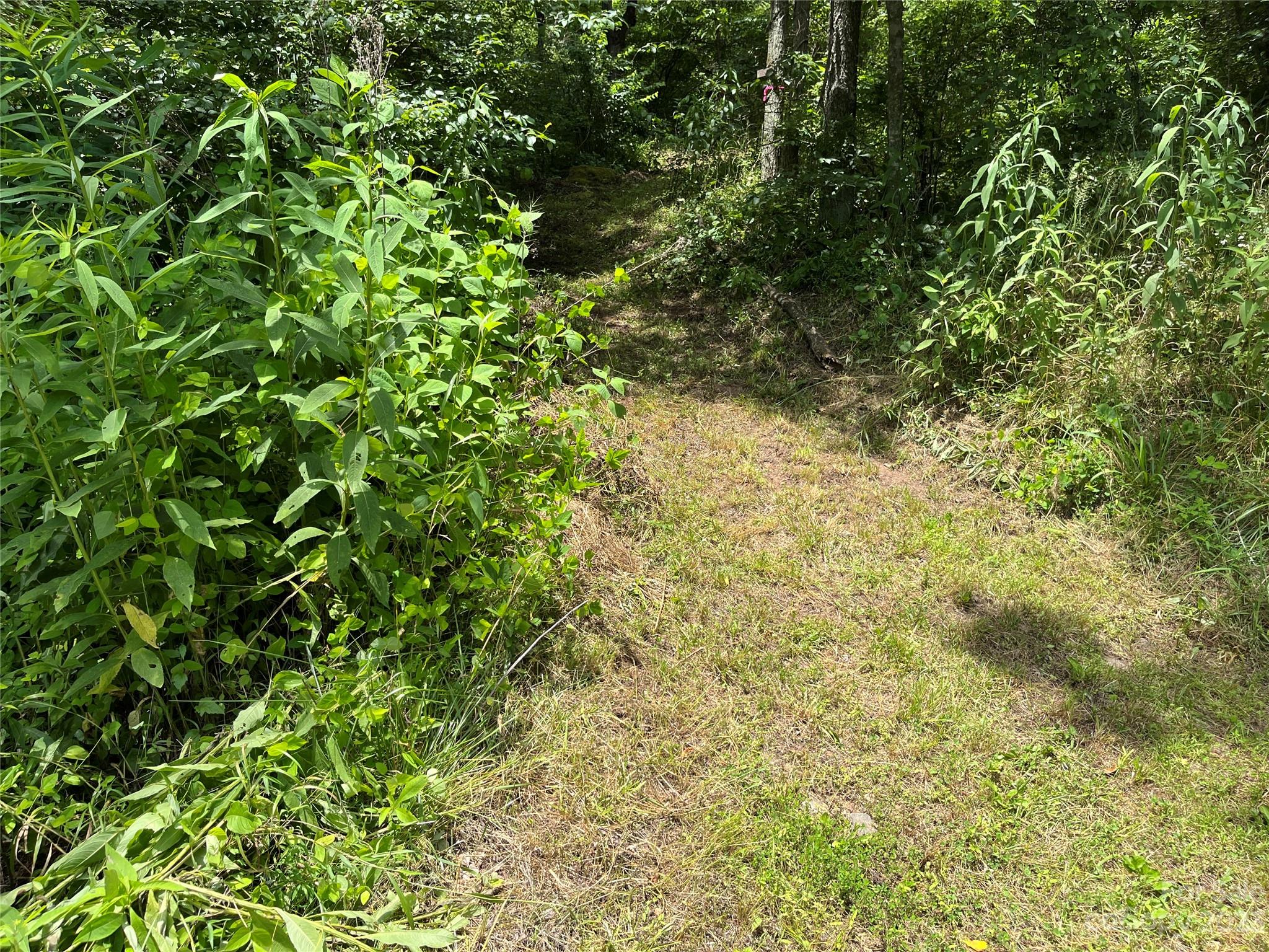 9999 Davis Cove Road Leicester NC 28748