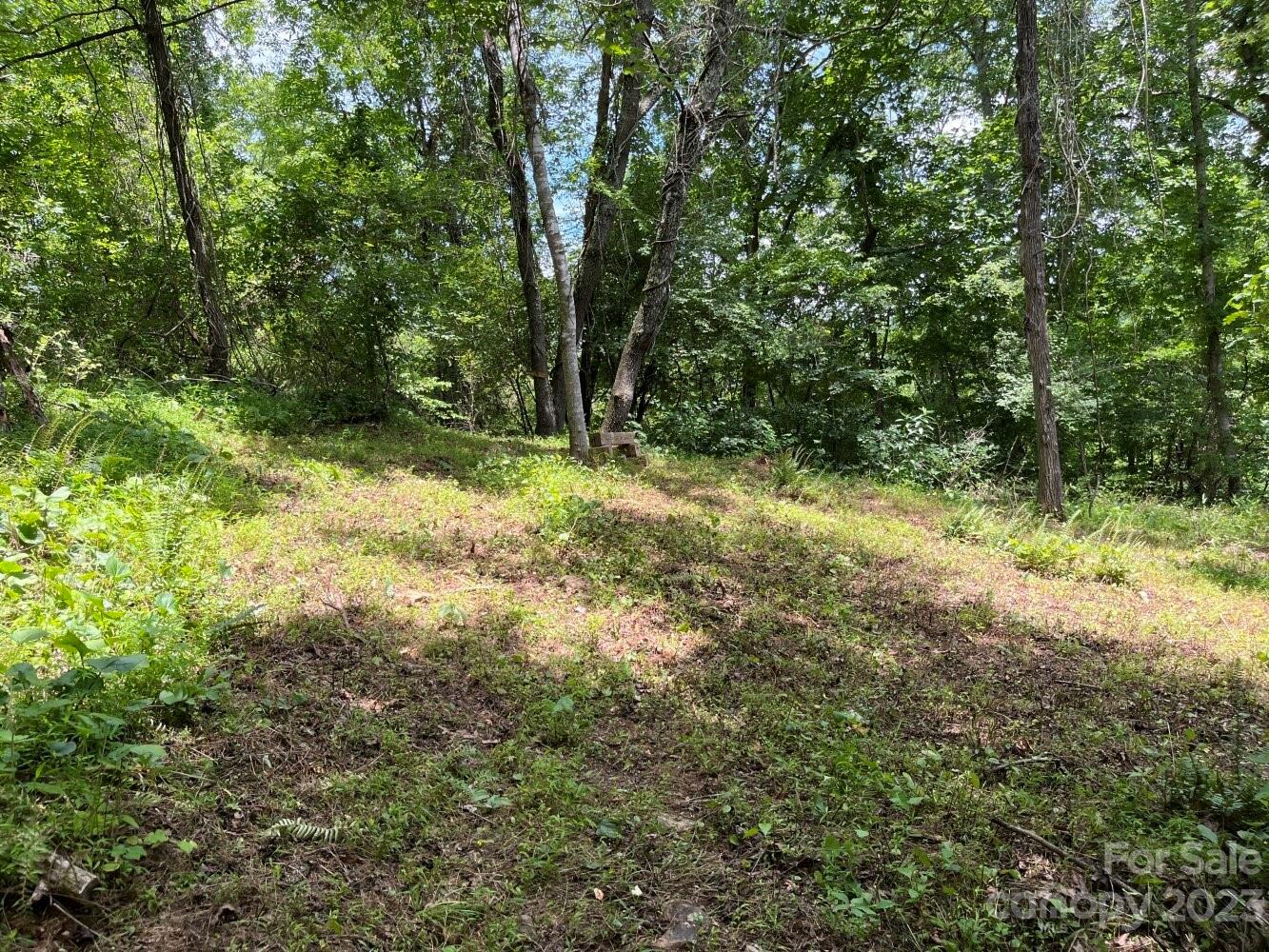 9999 Davis Cove Road Leicester NC 28748