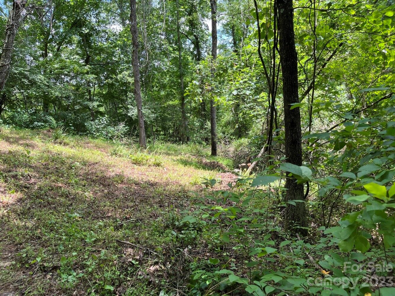 9999 Davis Cove Road Leicester NC 28748