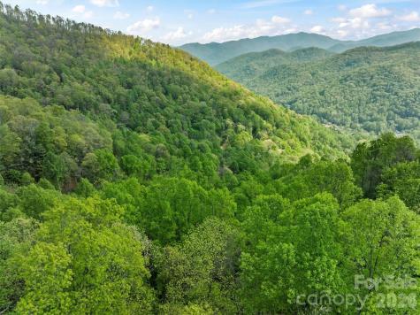 Tbd Jacks Knob Road Barnardsville NC 28709