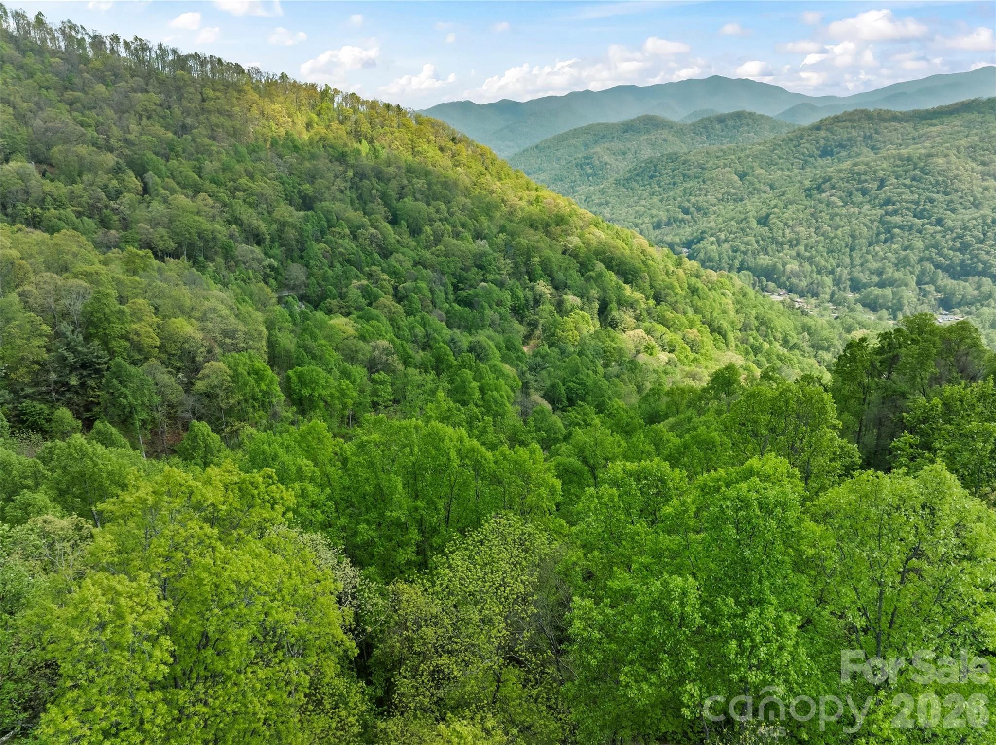 Tbd Jacks Knob Road Barnardsville NC 28709