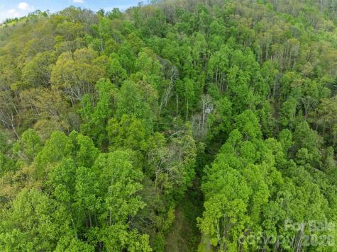 Tbd Jacks Knob Road Barnardsville NC 28709