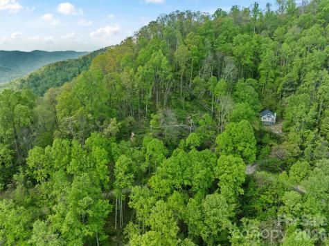Tbd Jacks Knob Road Barnardsville NC 28709