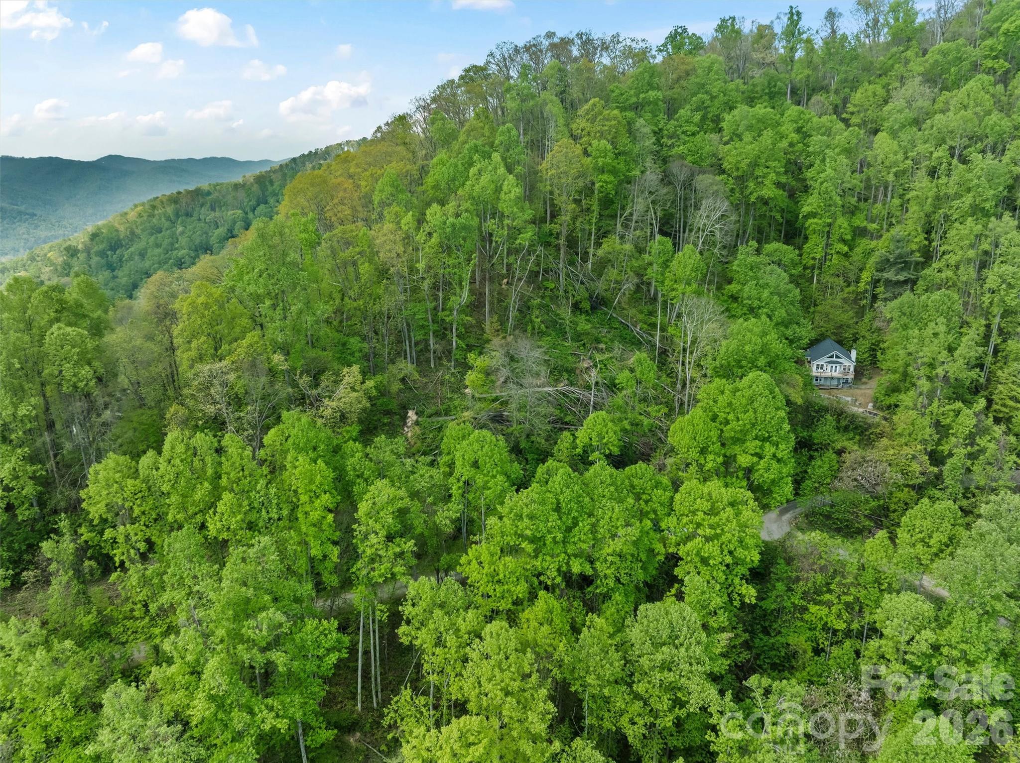 Tbd Jacks Knob Road Barnardsville NC 28709