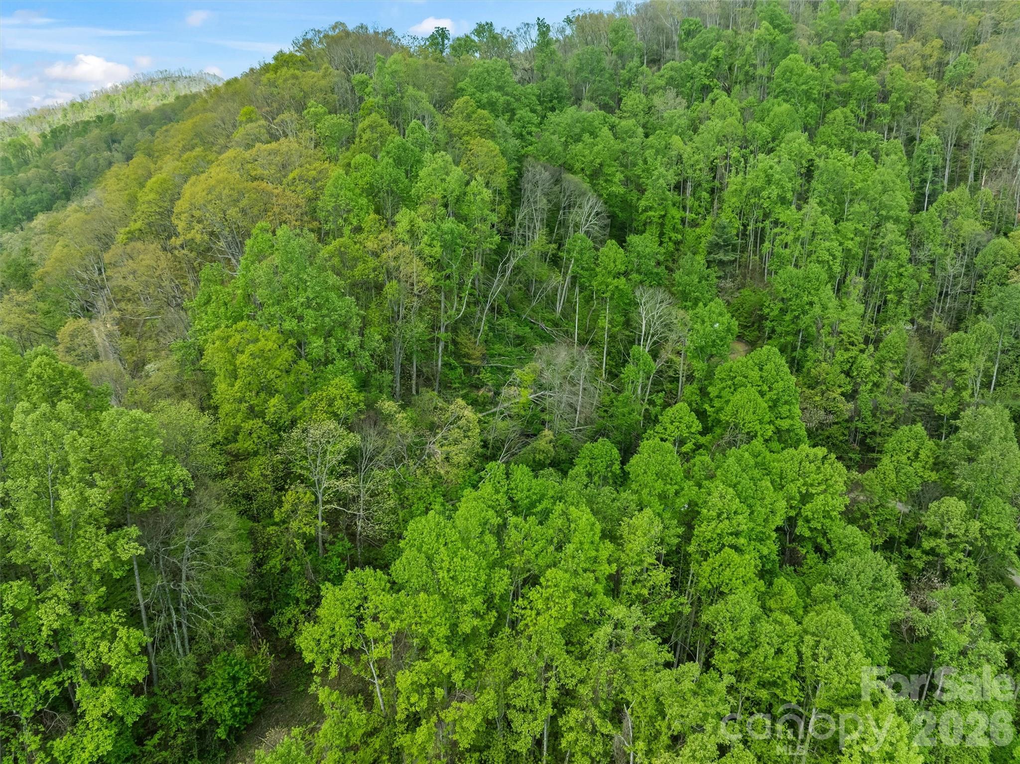 Tbd Jacks Knob Road Barnardsville NC 28709