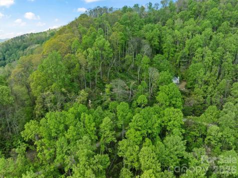 Tbd Jacks Knob Road Barnardsville NC 28709