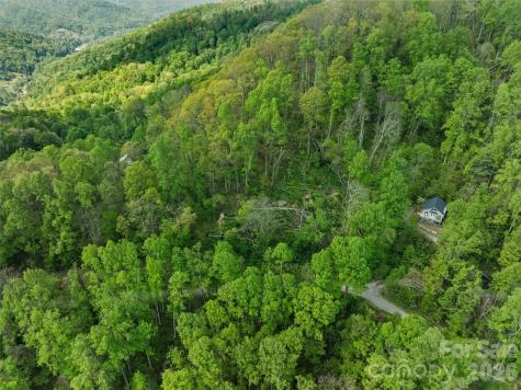 Tbd Jacks Knob Road Barnardsville NC 28709