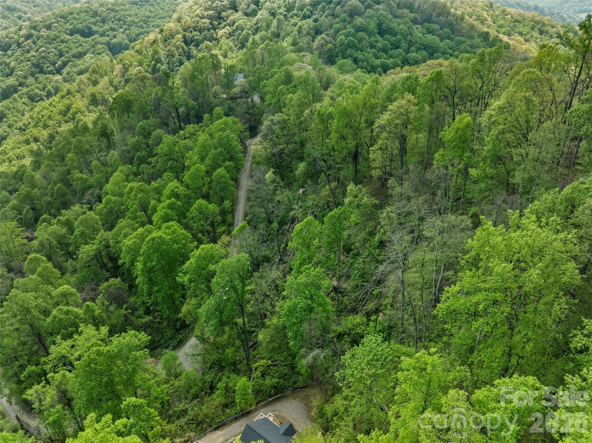 Tbd Jacks Knob Road Barnardsville NC 28709
