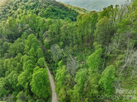 Tbd Jacks Knob Road Barnardsville NC 28709