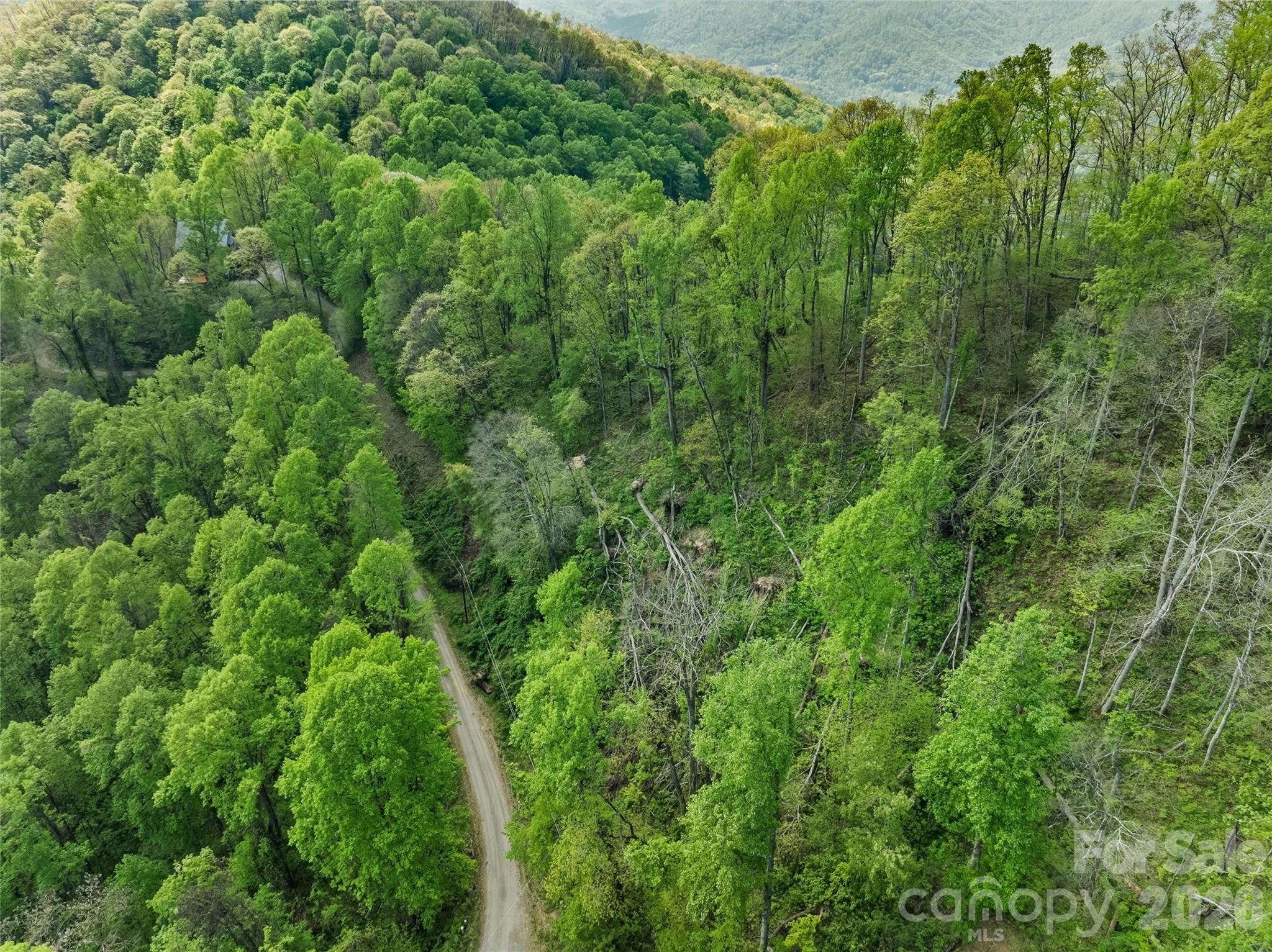 Tbd Jacks Knob Road Barnardsville NC 28709