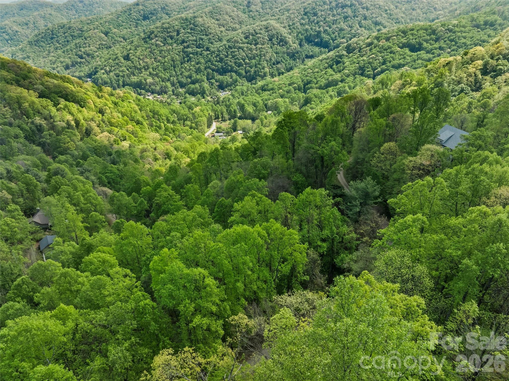 Tbd Jacks Knob Road Barnardsville NC 28709