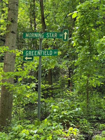 99999 Morning Star Drive Leicester NC 28748