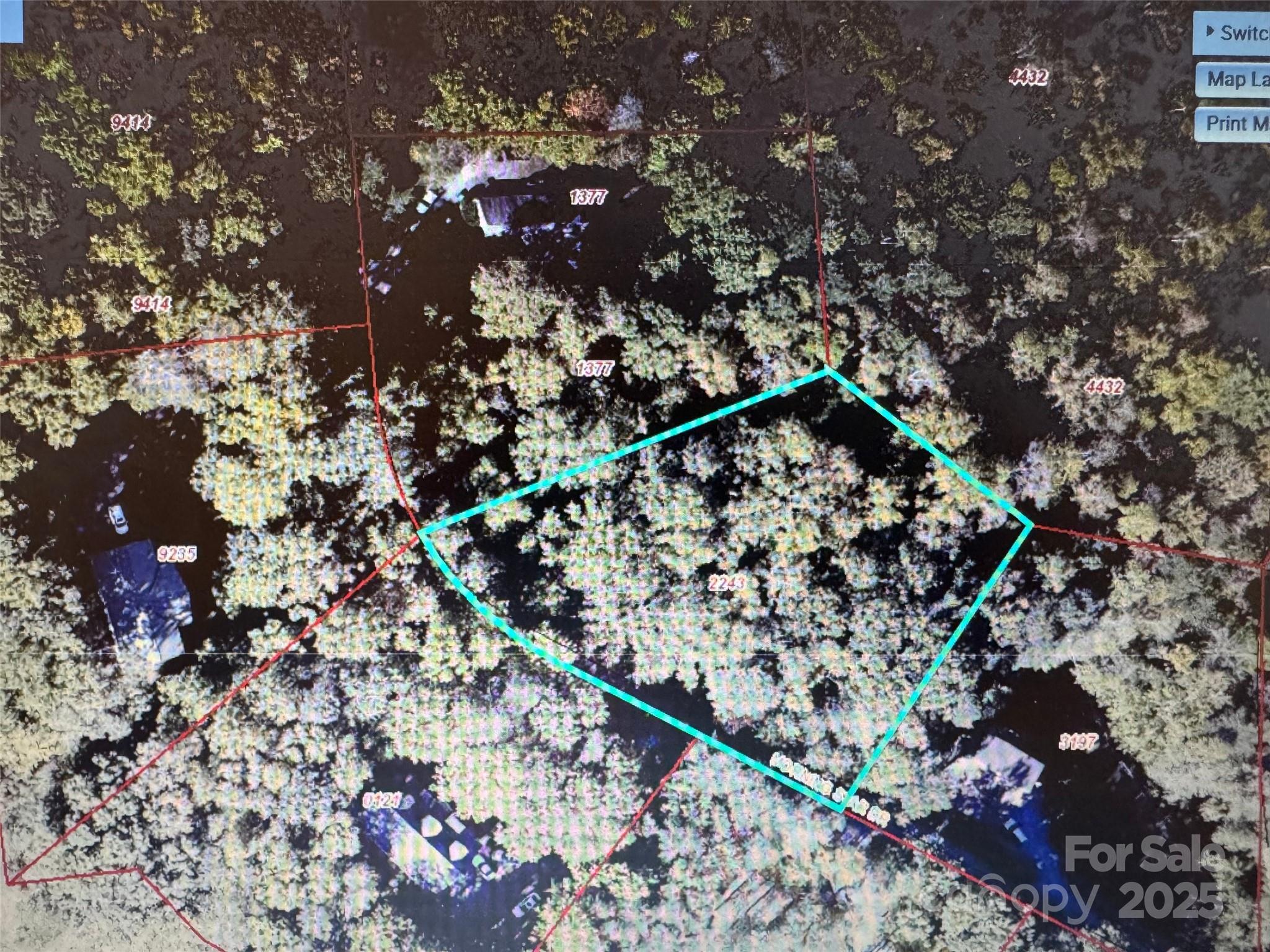 99999 Morning Star Drive Leicester NC 28748
