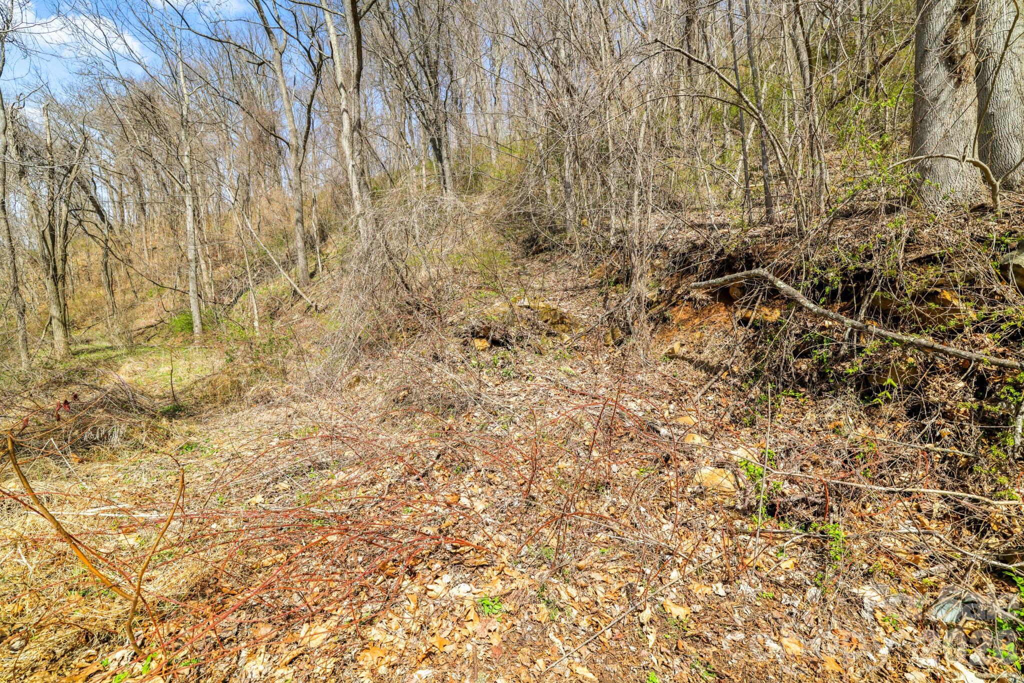 00 Panorama Drive Waynesville NC 28786