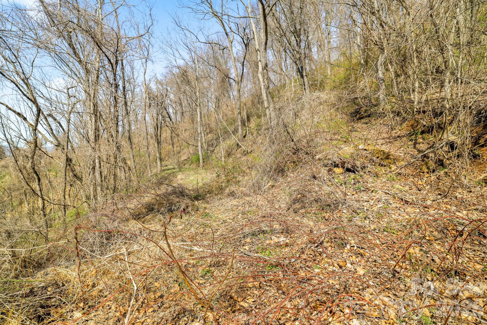 00 Panorama Drive Waynesville NC 28786