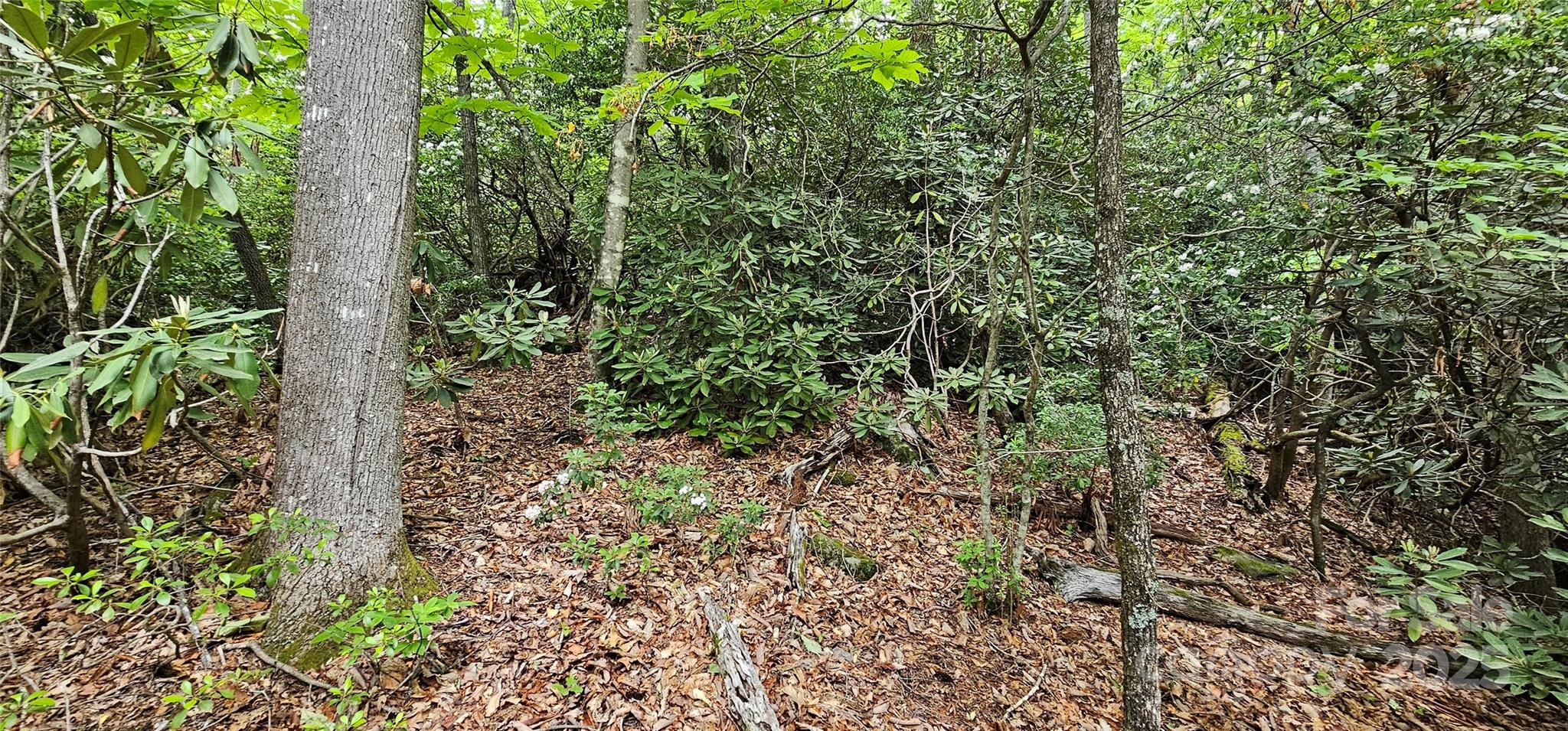 Tbd Ridge Cove Drive Marion NC 28752