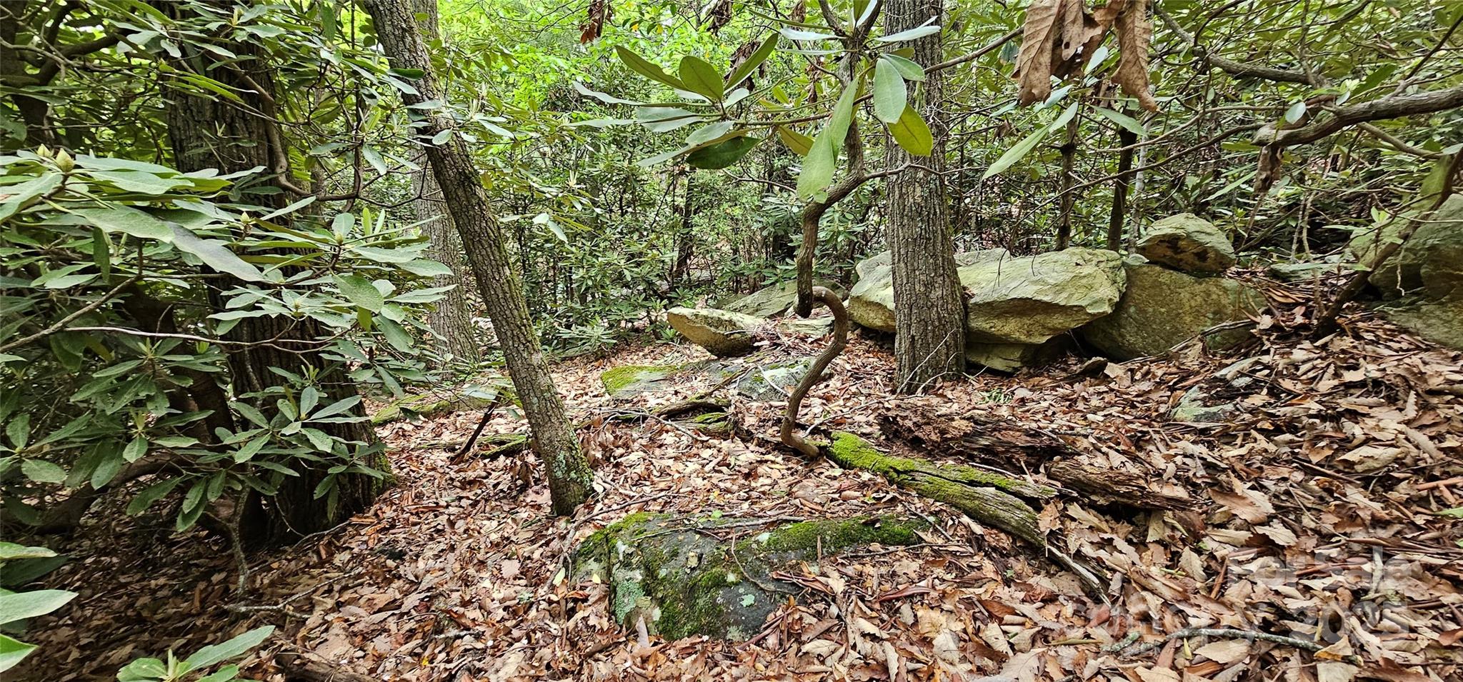 Tbd Ridge Cove Drive Marion NC 28752