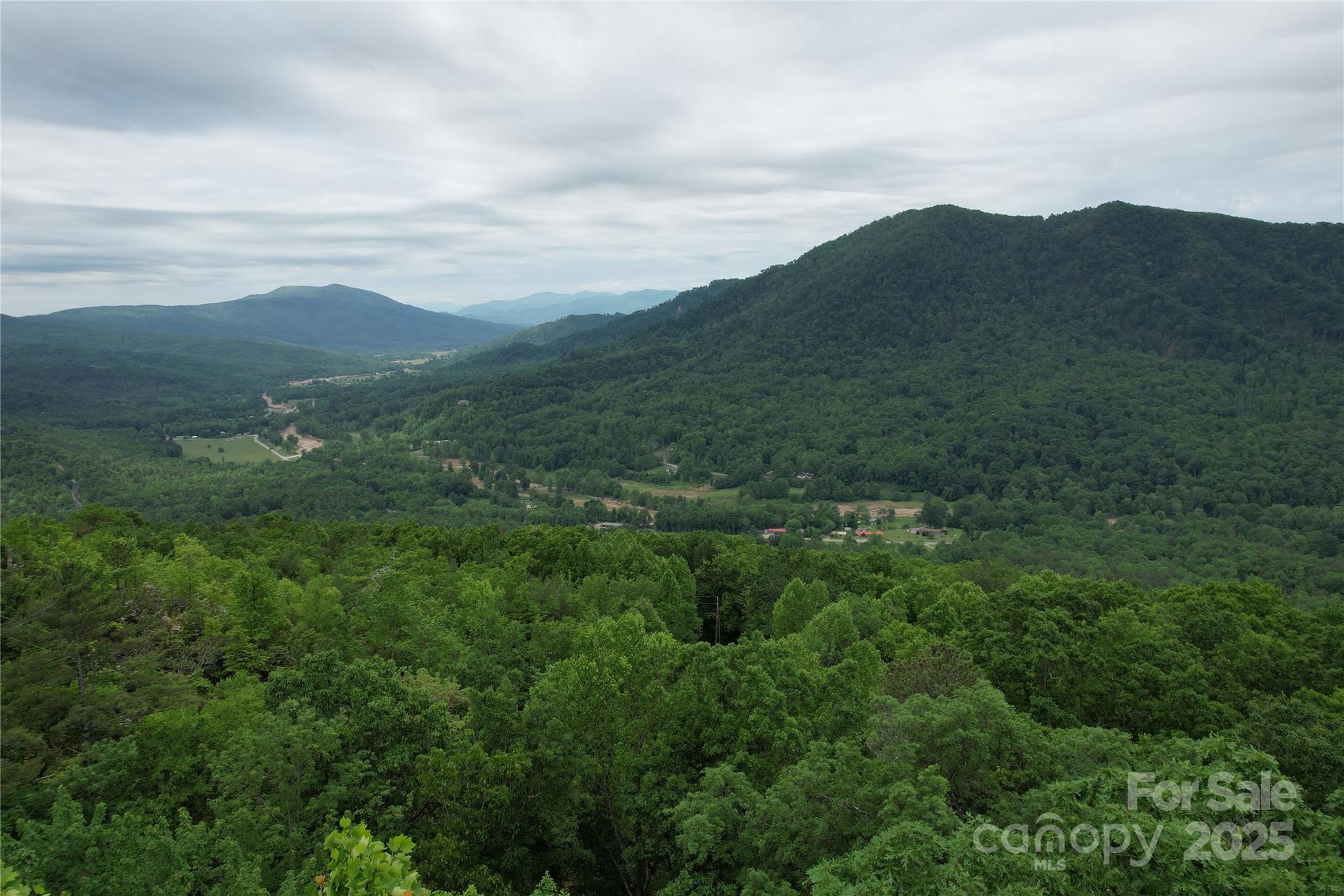 Tbd Ridge Cove Drive Marion NC 28752