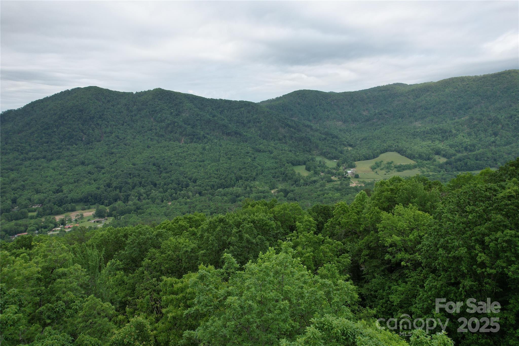 Tbd Ridge Cove Drive Marion NC 28752