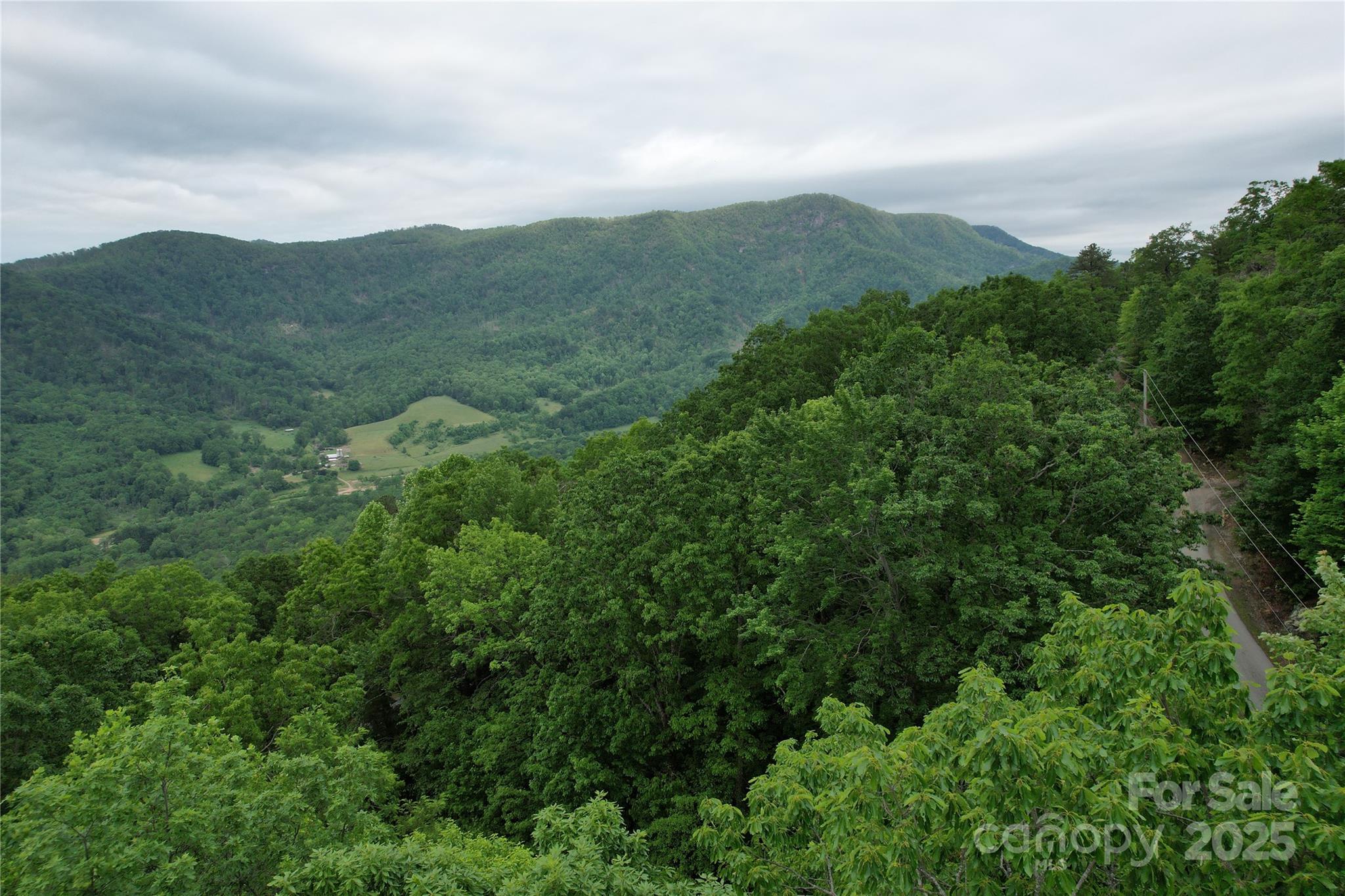 Tbd Ridge Cove Drive Marion NC 28752