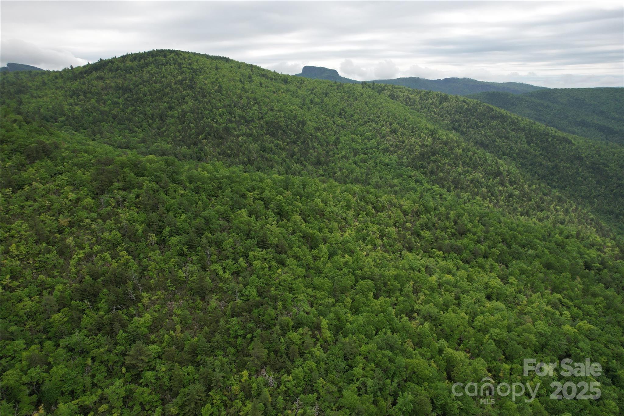 Tbd Ridge Cove Drive Marion NC 28752