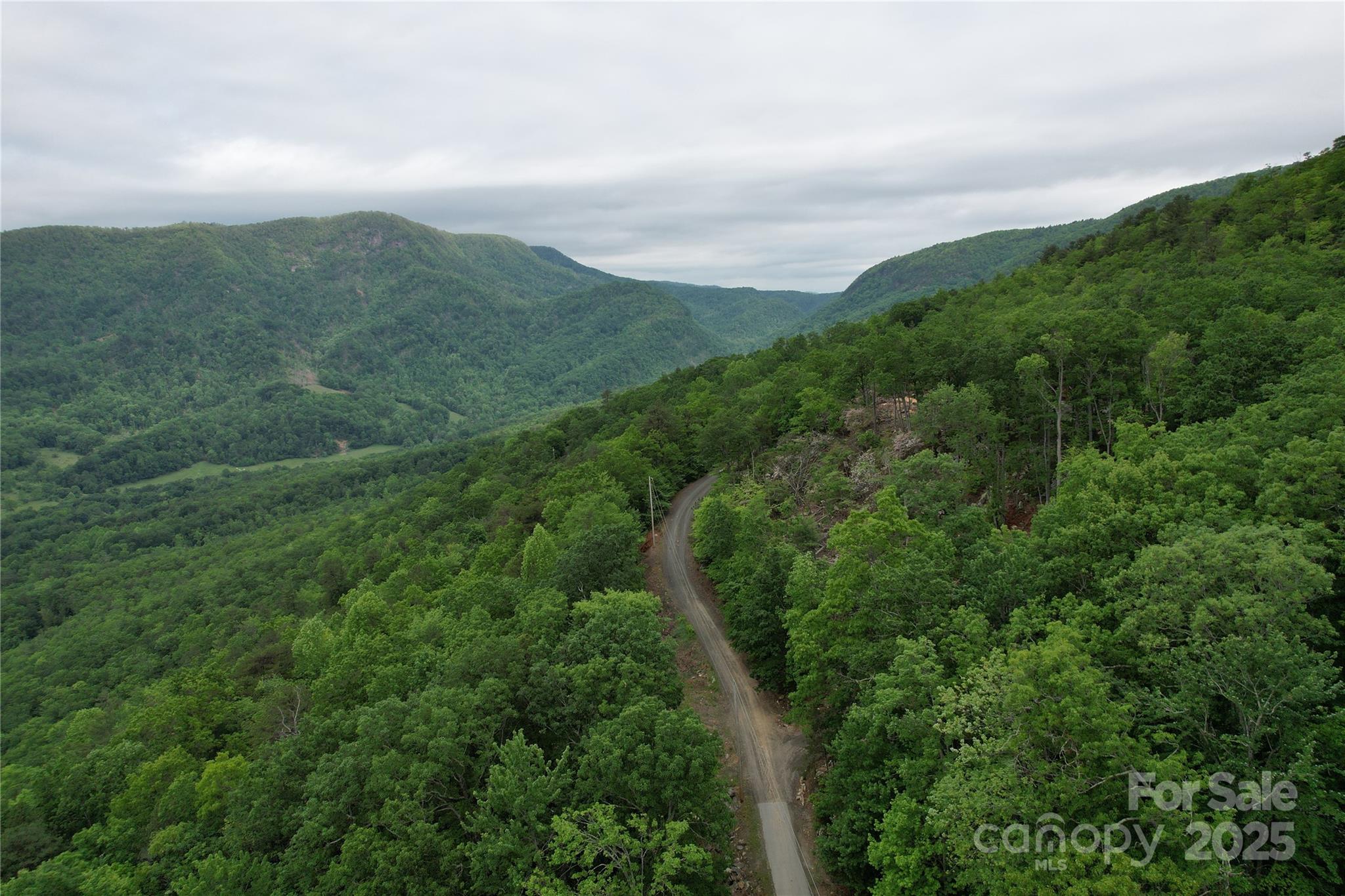 Tbd Ridge Cove Drive Marion NC 28752
