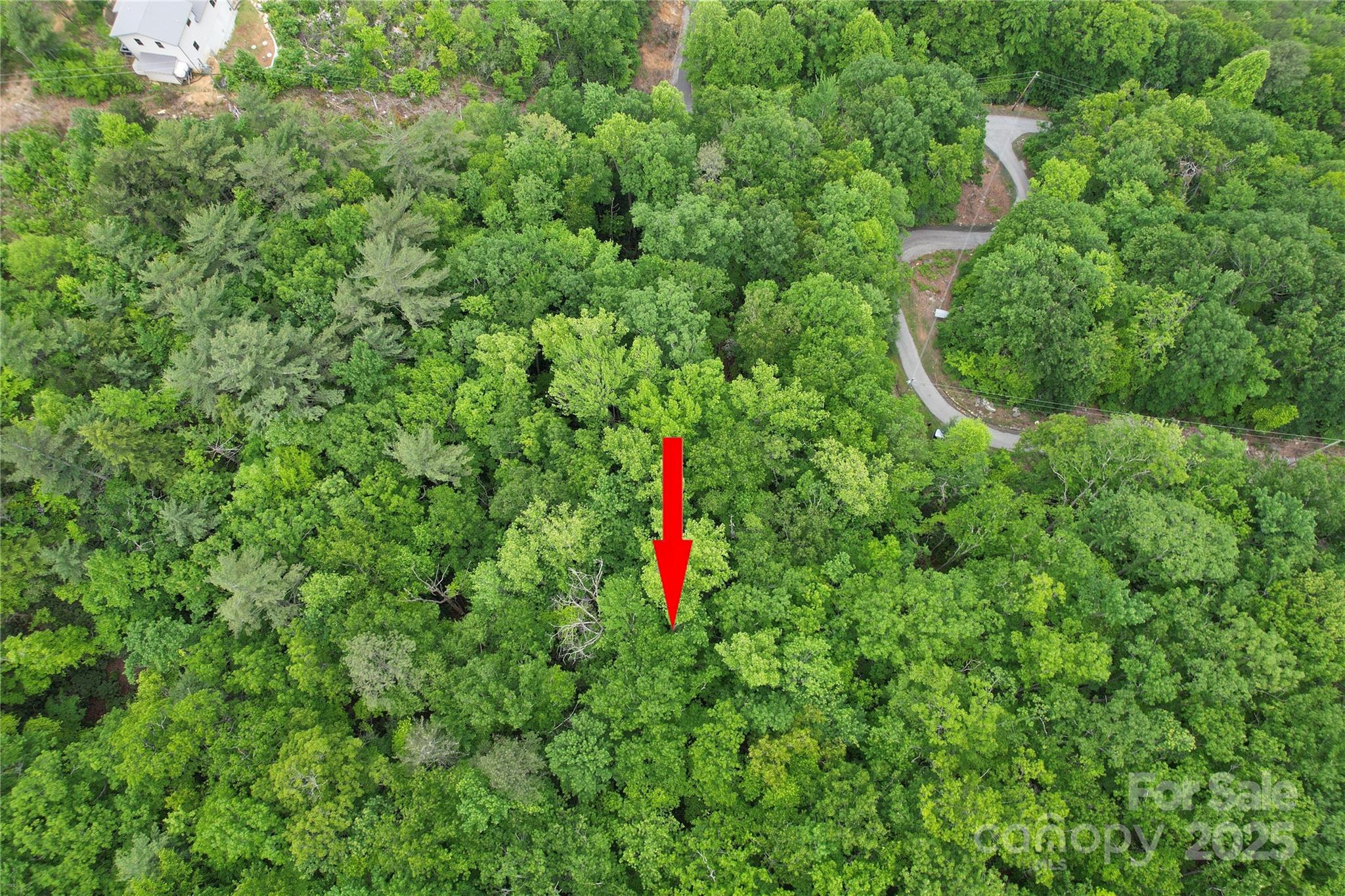 Tbd Ridge Cove Drive Marion NC 28752