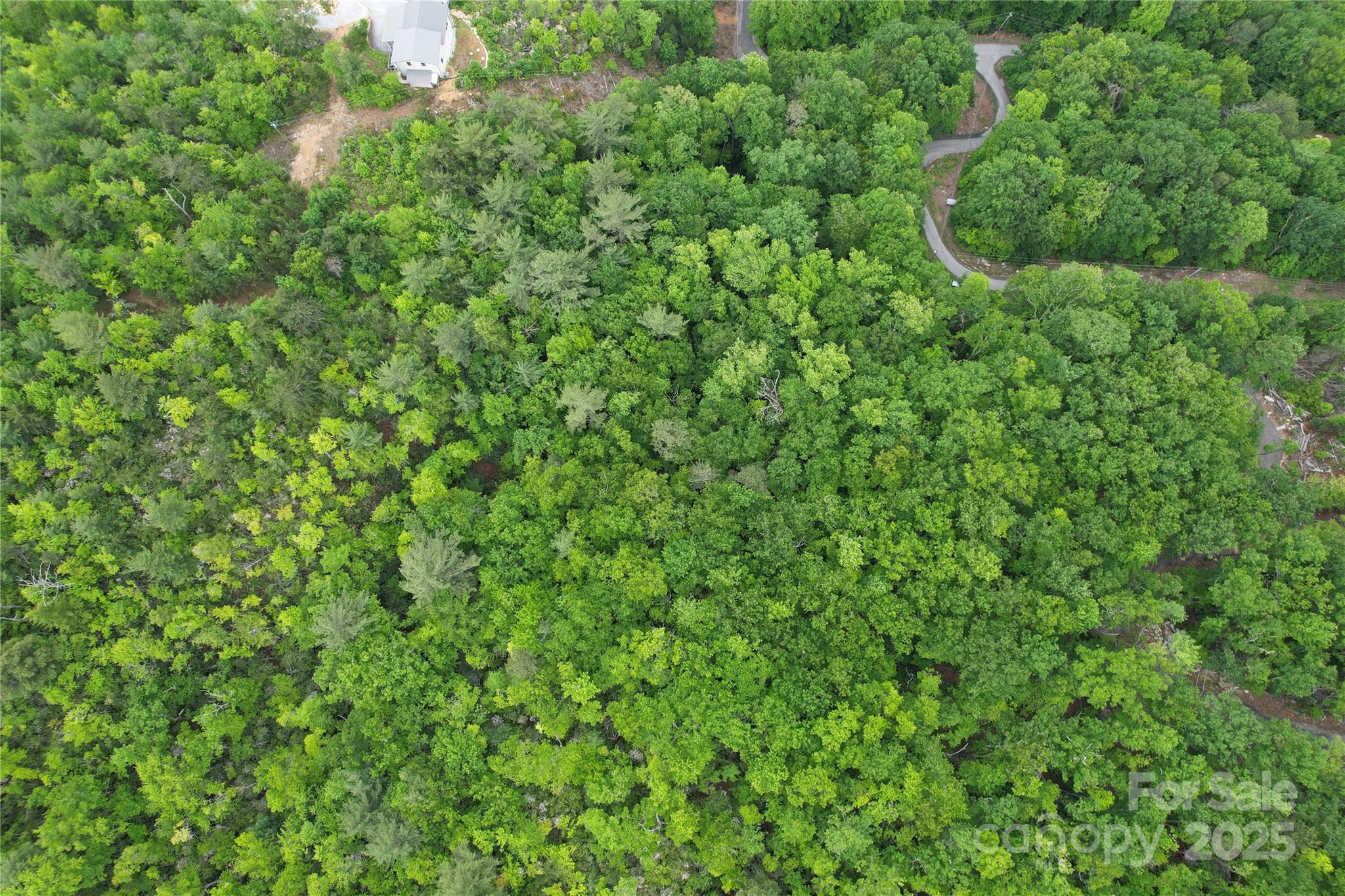 Tbd Ridge Cove Drive Marion NC 28752