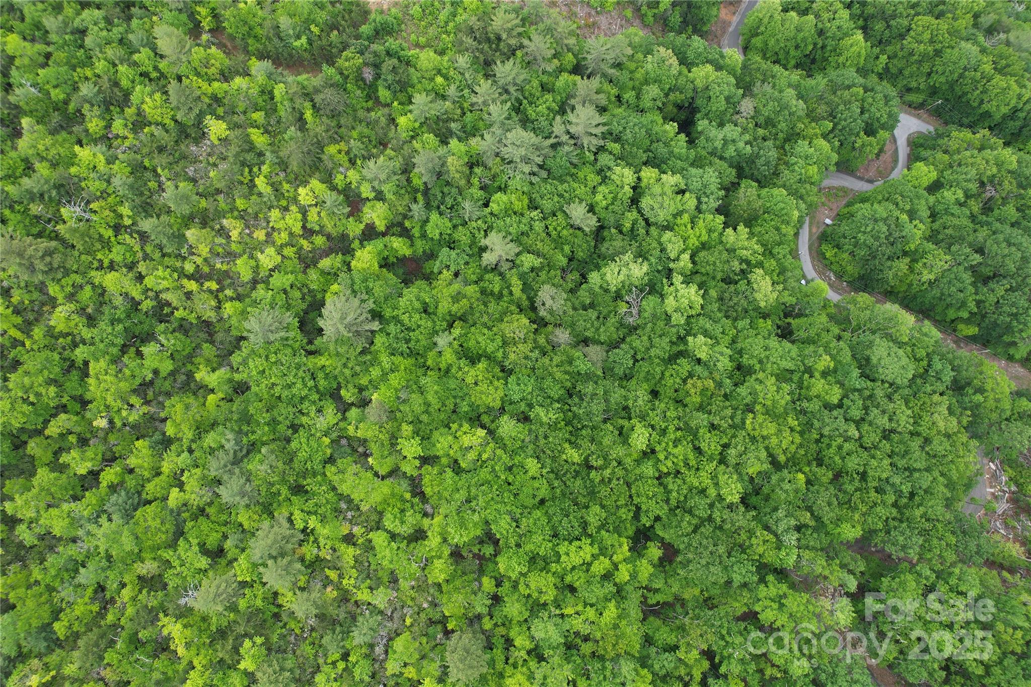 Tbd Ridge Cove Drive Marion NC 28752