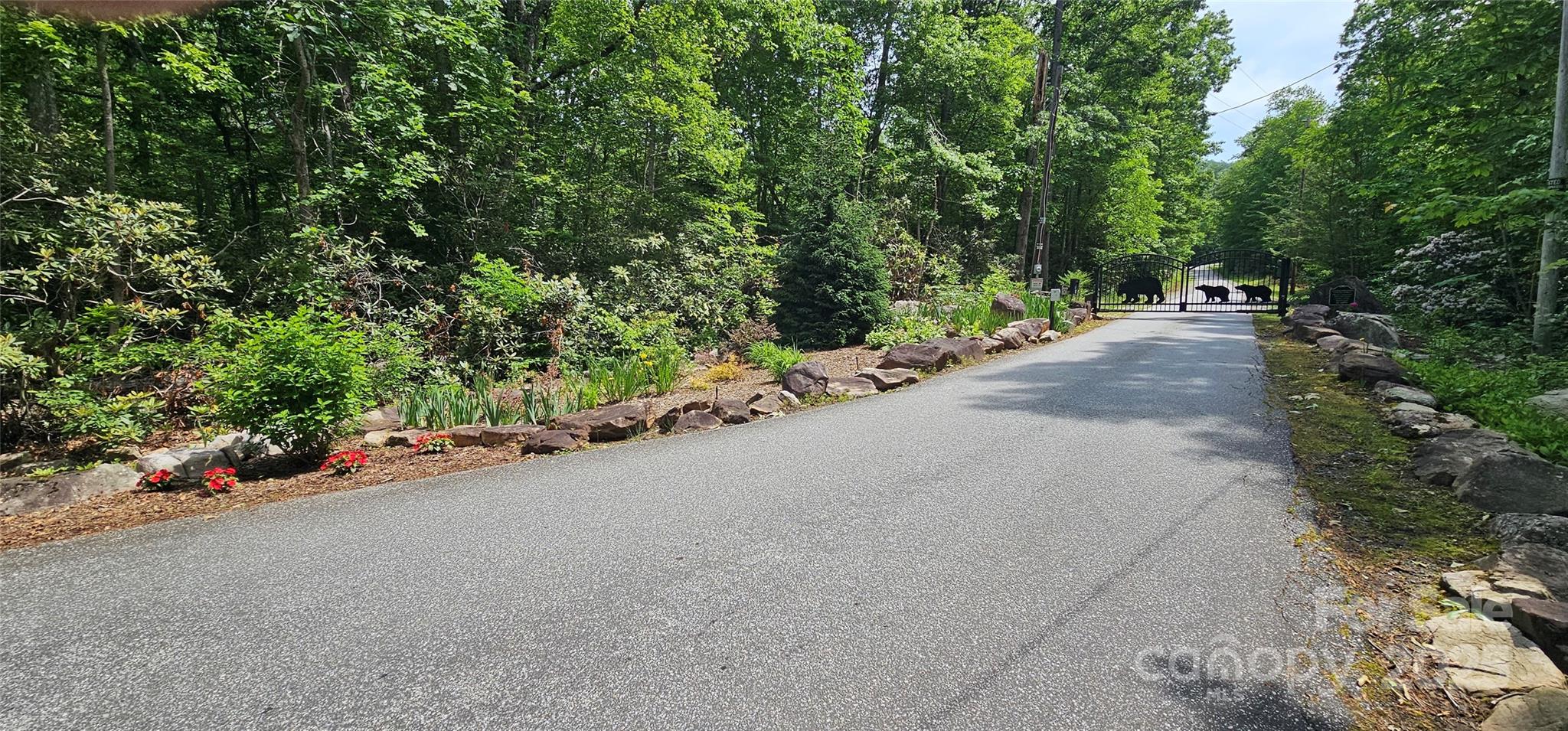 Tbd Ridge Cove Drive Marion NC 28752