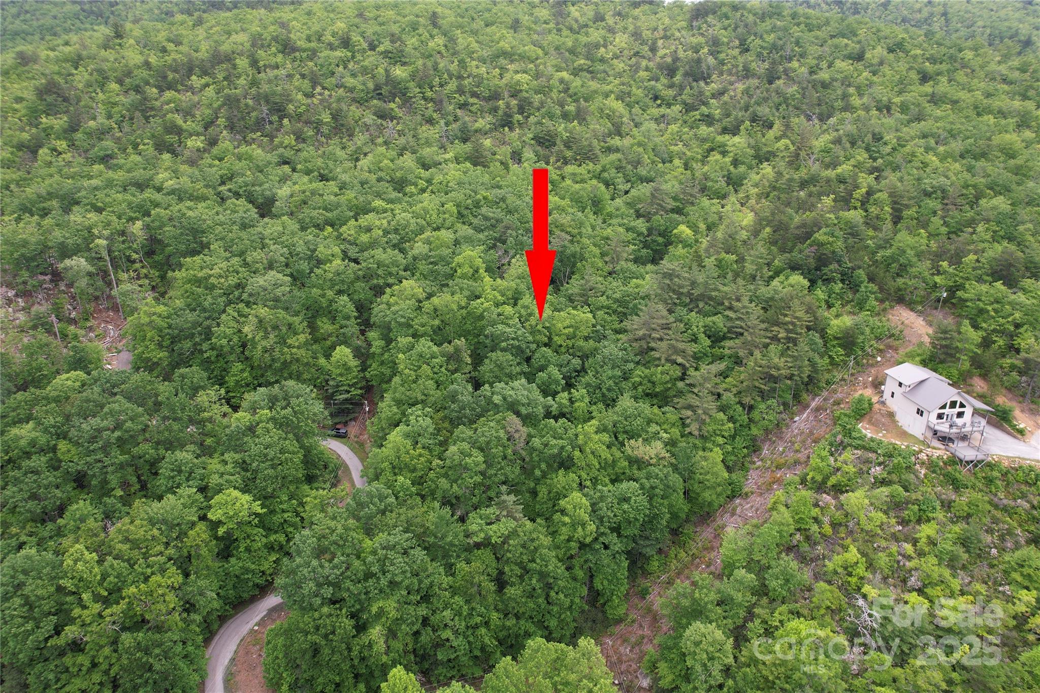 Tbd Ridge Cove Drive Marion NC 28752