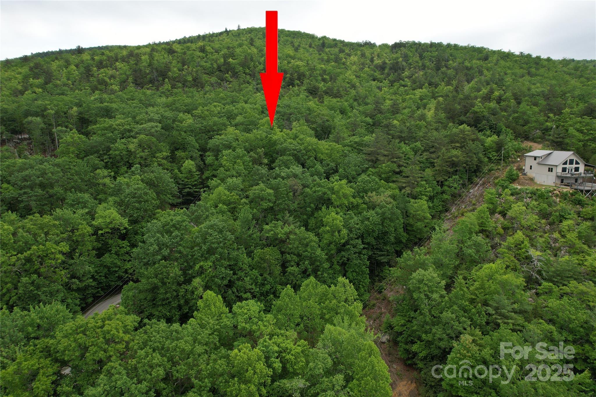 Tbd Ridge Cove Drive Marion NC 28752
