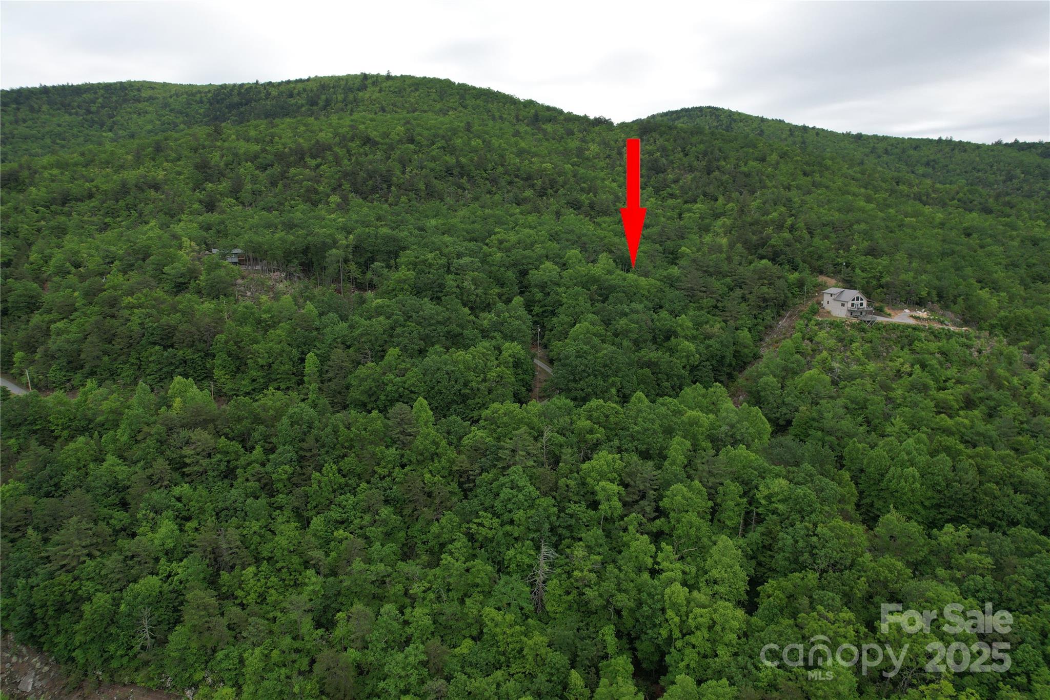 Tbd Ridge Cove Drive Marion NC 28752