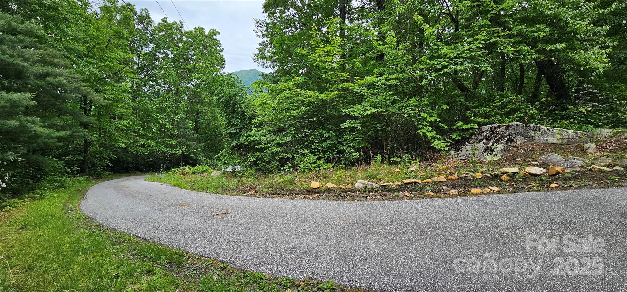 Tbd Ridge Cove Drive Marion NC 28752